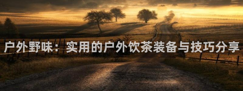 新宝gg直属