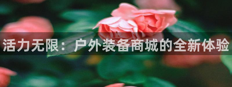 新宝gg运营88383