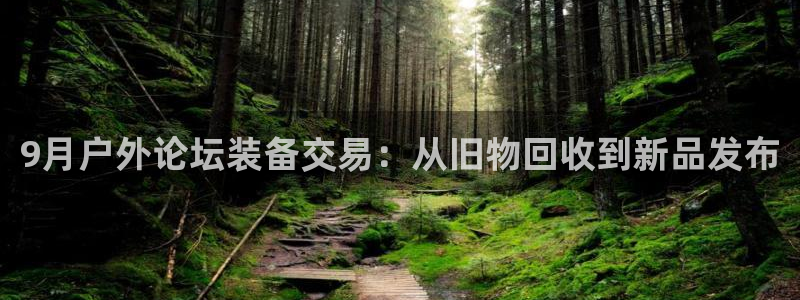 新宝GG挂机