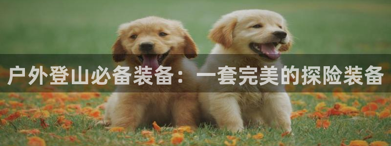 新宝gg主管baidu