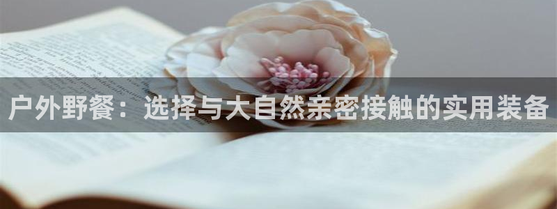 新宝gg联系