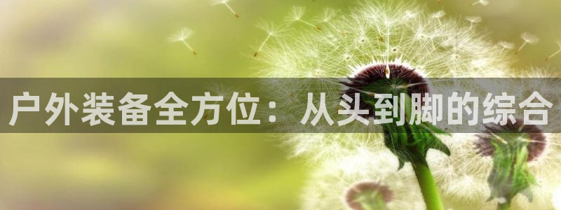 新宝 gg 登录注册