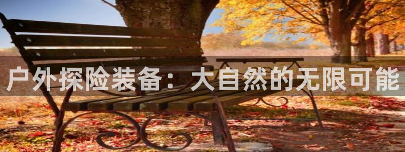 新宝gg样