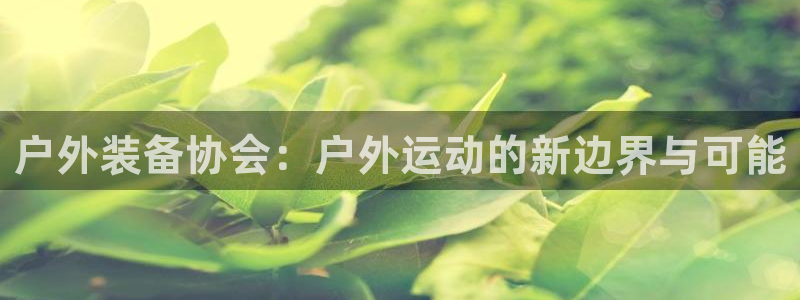 新宝gg挣钱