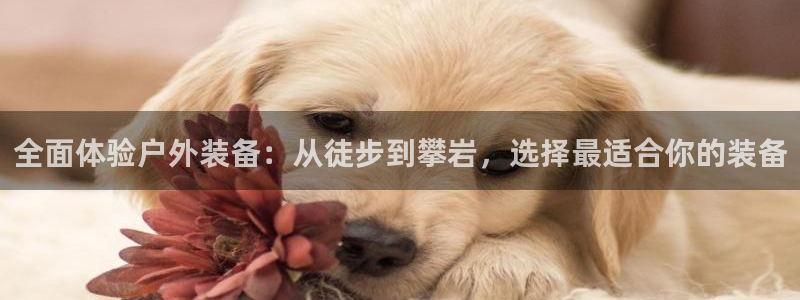 新宝GG上级