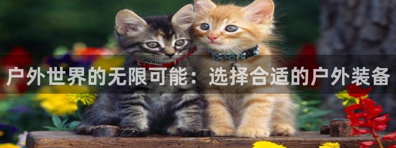 新宝gg平台怎么样