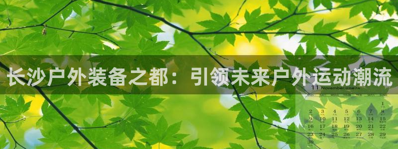 新宝gg官方主管