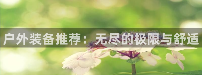 新宝gg直属上级