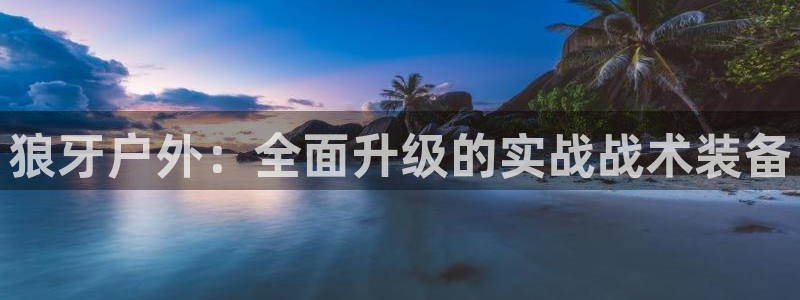 新宝gg合作