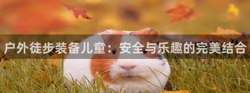 新宝gg是什么