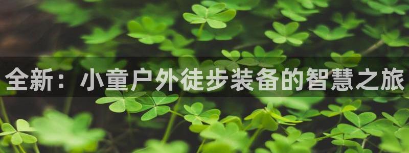 新宝5和新宝gg