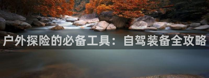 新宝gg开