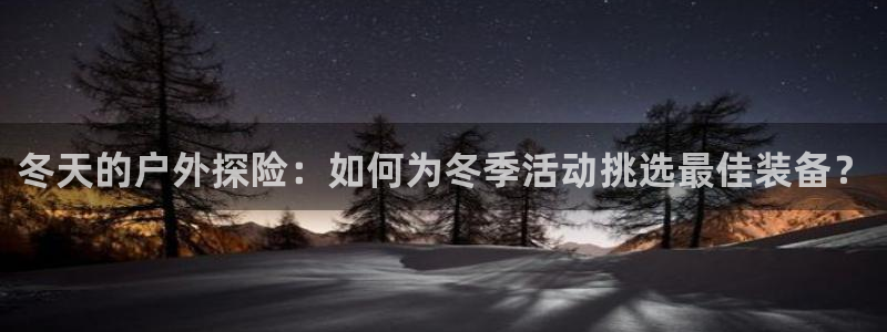 新宝gg线长