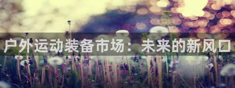 新宝gg主页