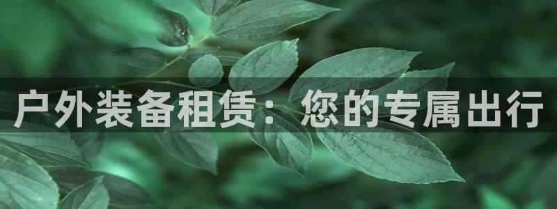 新宝gg平