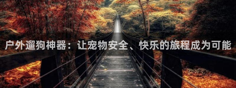 新宝创造Gg