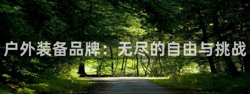 新宝gg赚钱