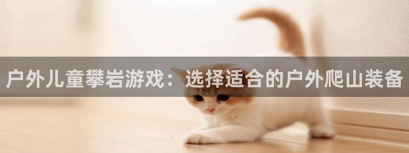 新宝gg博客