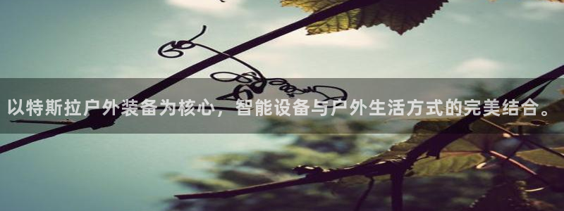 新宝gg在哪开户