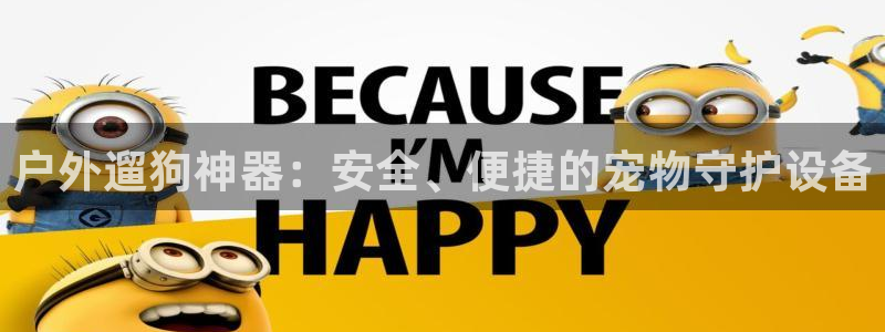 新宝gg联系
