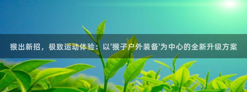 新宝gg重庆