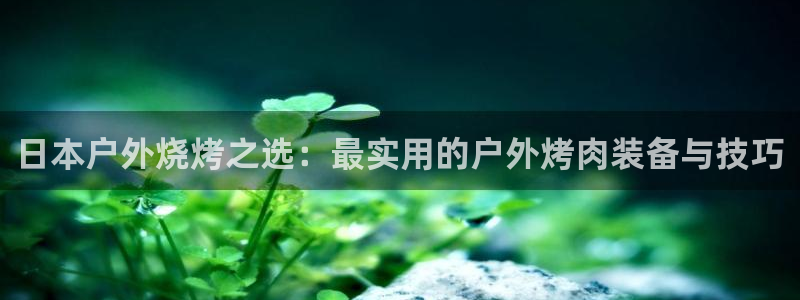 新宝gg体彩