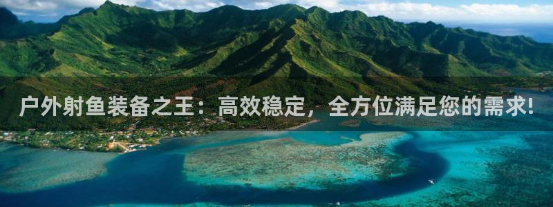 新宝gg线长