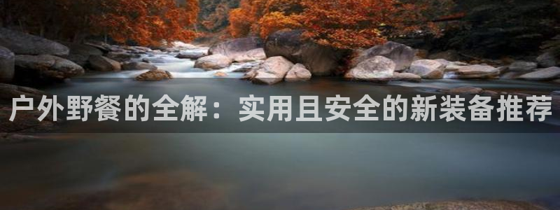 新宝gg工资