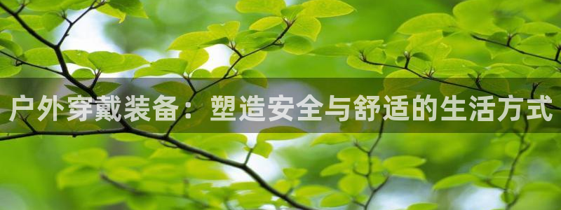 新宝gg最新章节