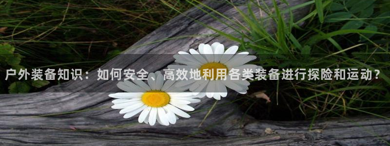 新宝gg下载官网下载