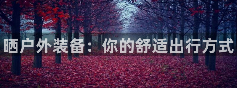 新宝gg专线