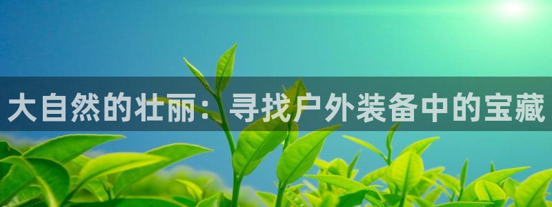 新宝奇迹GG