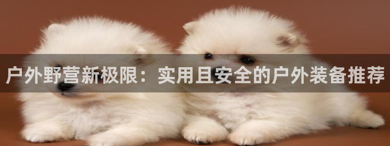 登录新宝gg游戏