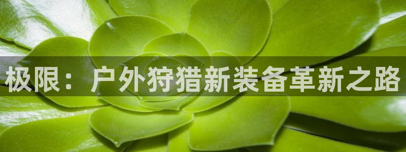 新宝gg返点