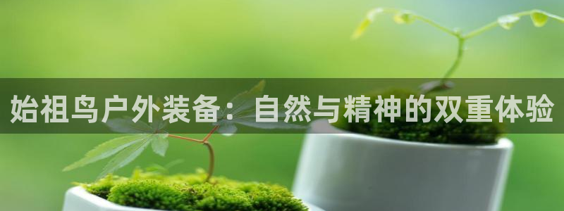 新宝GG电话