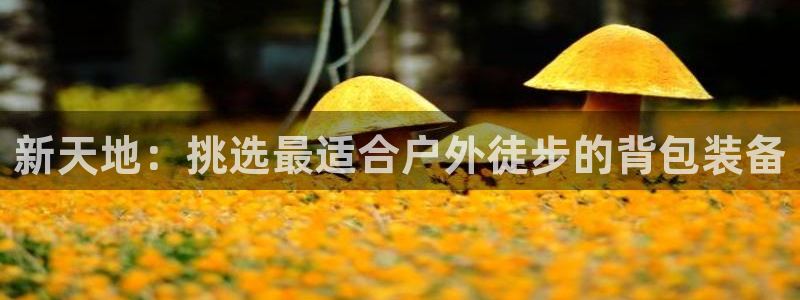 新宝gg娱乐vovq