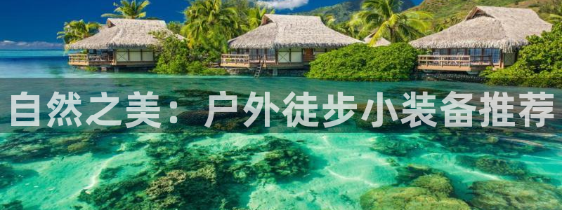 行新宝gg