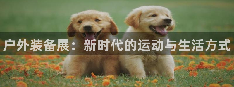 新宝gg手机助手