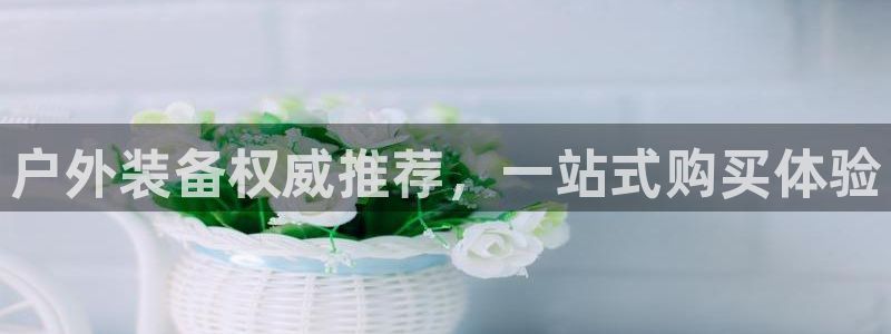 新宝gg群