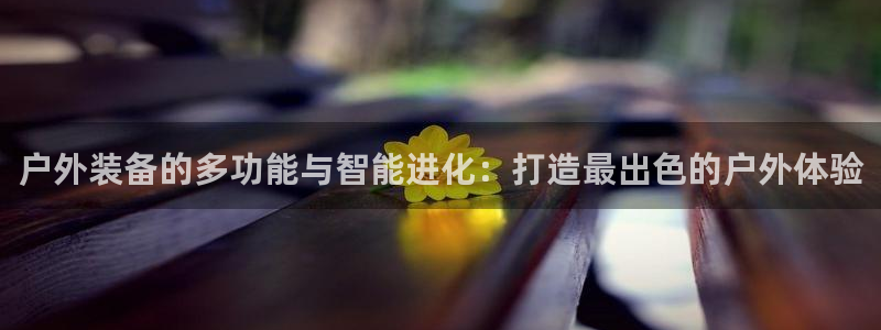 网站是新宝gg