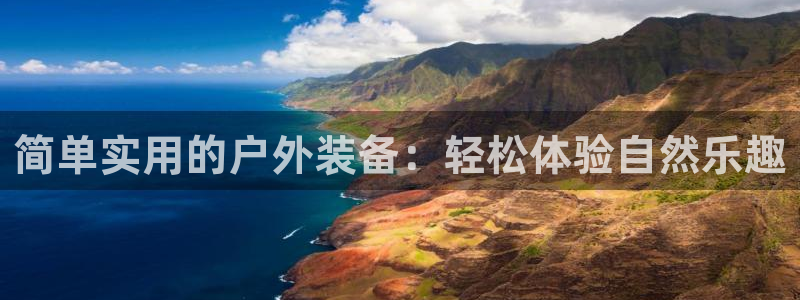 新宝gg挂机app