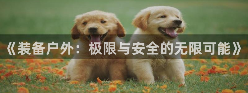 新宝一GG