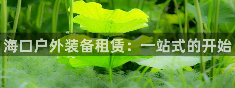 新宝GG娱乐下载