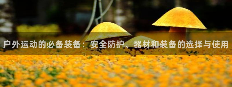 新宝gg新宝5注册