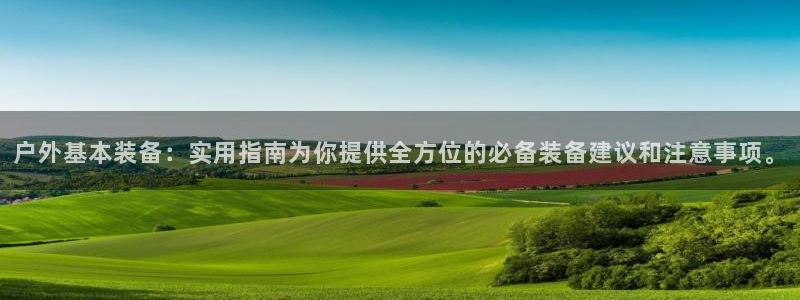 新宝gg挂机app