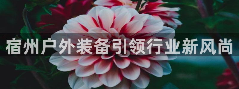 109新宝gg