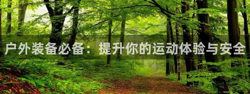 新宝gg官网