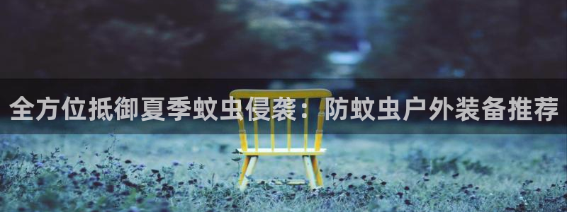 怎么代理新宝gg