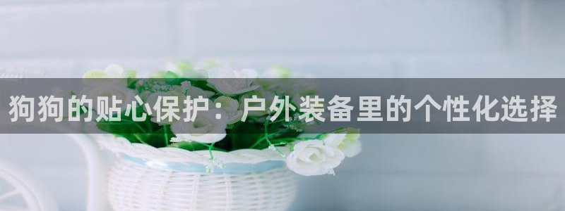 新宝gg代