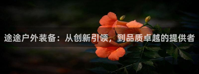 新宝gg佣金